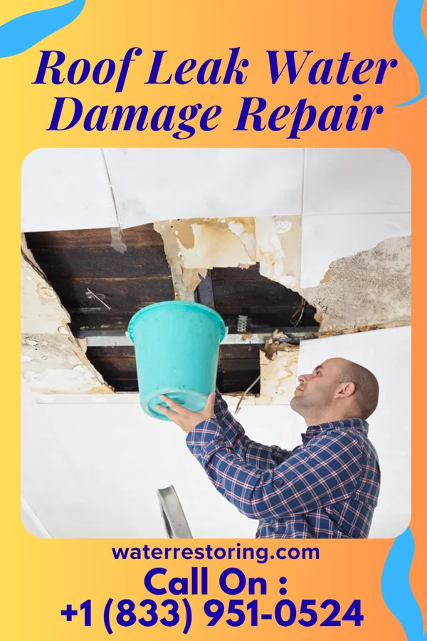 Roof Leak Water Damage Repair in Oak Hill-Piney, OK